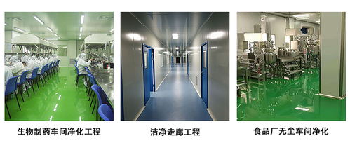 建設食品廠無塵車間的關鍵注意事項與電蚊拍管理策略